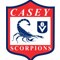 CaseyvflnewS.jpg